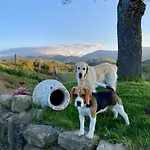 Azzurro Di Vallepietra カントリーハウス Camporotondo di Fiastrone