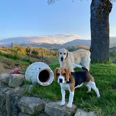 Azzurro Di Vallepietra Летний дом Camporotondo di Fiastrone